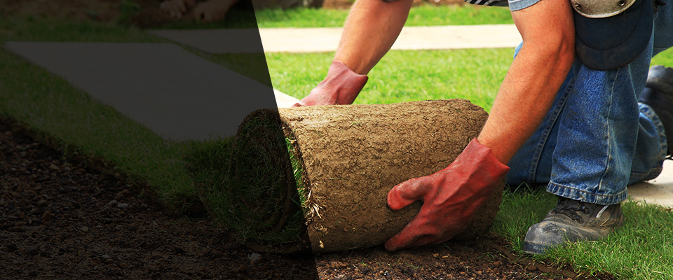 Snow Hill Landscapers